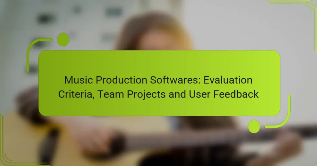 Music Production Softwares: Evaluation Criteria, Team Projects and User Feedback